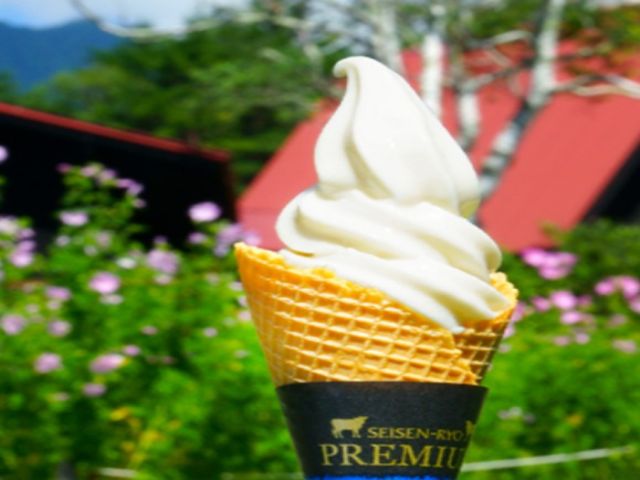 濃厚でおいしいソフトクリームの販売業務！！！