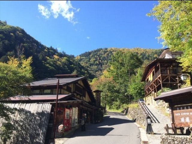 山岳温泉なので山好きな方は是非!!
日帰り入浴施設や売店、自販機等アリ♪