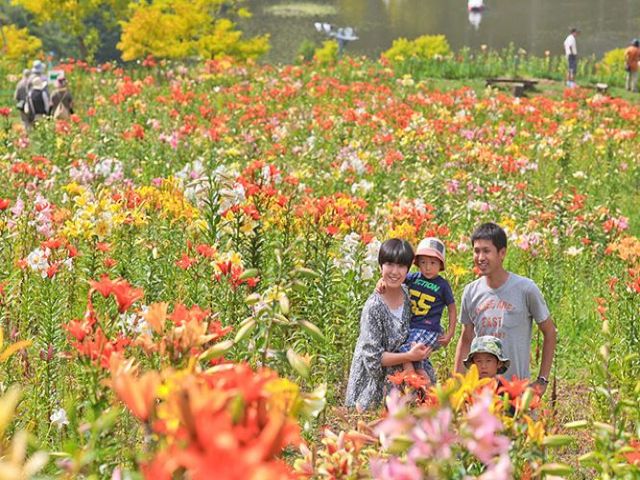 こちらはお花畑☆四季の移ろいを告げる様々な花が有るんです！