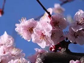 四季の彩が美しい玉造温泉です。