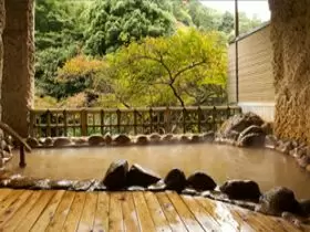 温泉入浴可能
