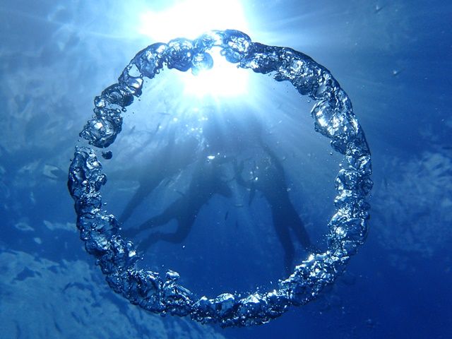 恩納村は海が綺麗で、のどかなリゾートエリア♪
ダイビングやシュノーケルは1年中楽しめます！