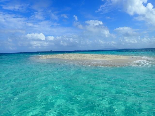西表島からはバラス島というサンゴの欠片でできた無人島に行けます♪奇跡の島と呼ばれています！
