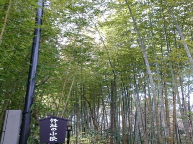 少し足を延ばせば修善寺、湯河原、箱根、都内へも出られます！
