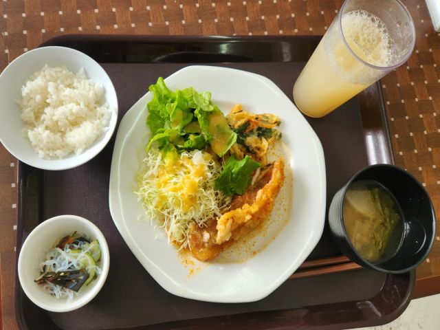 賄いは1日2食で提供有ります。弁当でお持ち帰りも可能です！！