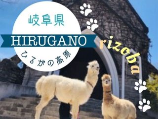 【お花と動物のテーマパーク】動物が好きな方や小さいお子様が好きな方にはピッタリ！！