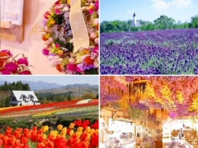 園内には綺麗なお花がたくさん咲いていて、ほのぼのとしています♪