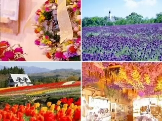 園内には綺麗なお花がたくさん咲いていて、ほのぼのとしています♪