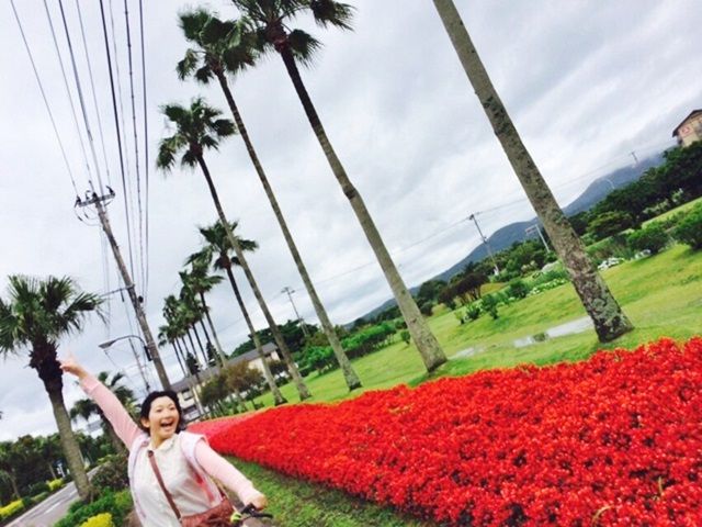 勤務先周辺にてこーんな南国ポイントもあります。椰子の樹・菜の花・ハイビスカス咲いてます