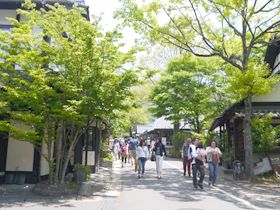 湯布院の景色に癒されに来てください。