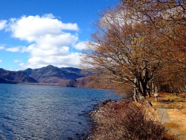 四季折々に色を変える中禅寺湖をお楽しみください！