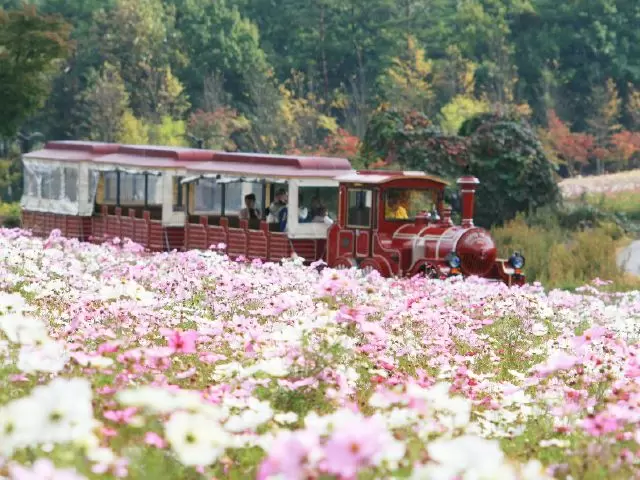 東海エリアでは有名なテーマパーク。館内にはお花もいっぱい！自然豊かで空気も最高です！