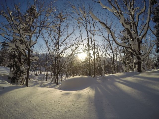 毎年満足度のとても高い職場です☆