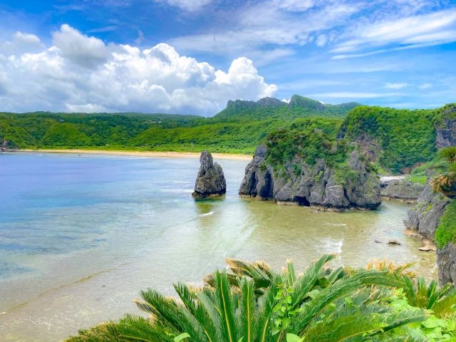 沖縄本島北部は亜熱帯の森が広がっています！自然あふれる環境でゆっくり過ごしませんか？