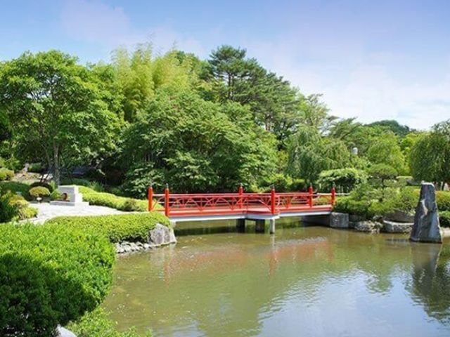 風情ある庭園がございます！