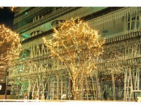 冬には仙台３大祭り☆光のページェント☆