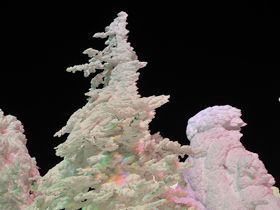 毎年恒例の「樹氷ライトアップ」を今年も開催!漆黒の闇夜に浮かび上がるライトアップは必見☆