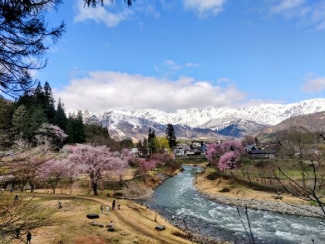 綺麗な景色が最高
四季を楽しみたい方にもおすすめの環境です!!