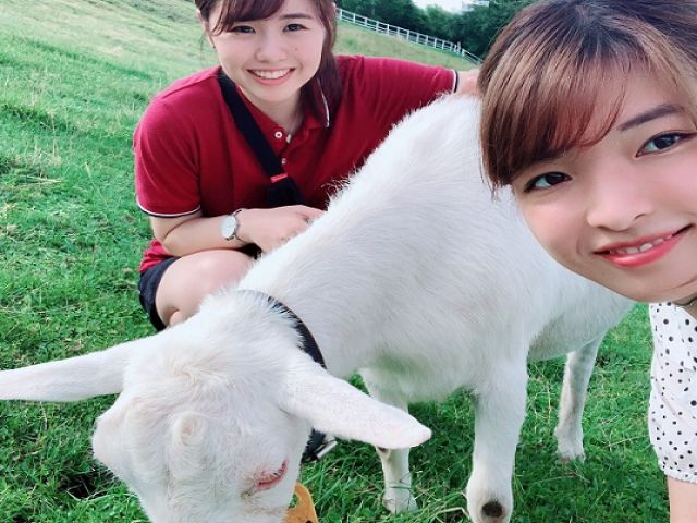 自然豊かな白樺湖エリア☆彡