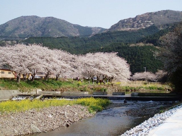 観光名所も沢山ありますよ(≧▽≦)