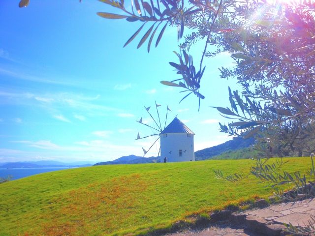 自然豊かな島です♪