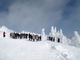 とにかくすごい！でかい！現実とは思えない樹氷がすぐそこに！