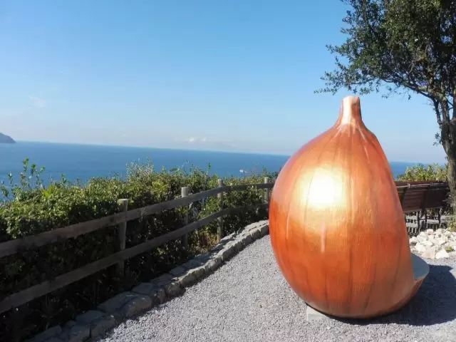 たまねぎも有名な淡路島！