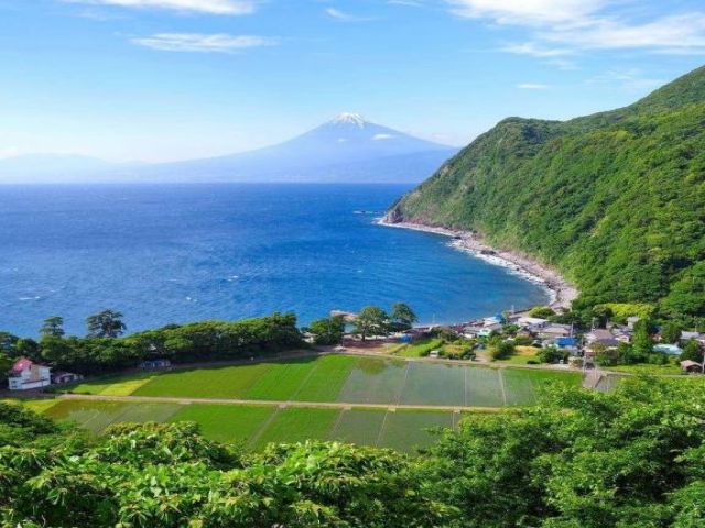 なんといっても景観がとても綺麗！晴れた日には駿河湾、富士山が綺麗に見えます♪