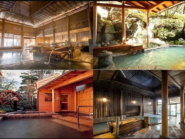 いろんな温泉に入れます♪