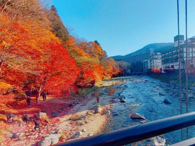 人気の温泉地です！