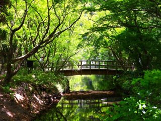 【稼ぎたい方必見！】人気の湯布院でスタッフ多数活躍!寮は完全個室の綺麗なワンルーム寮です。