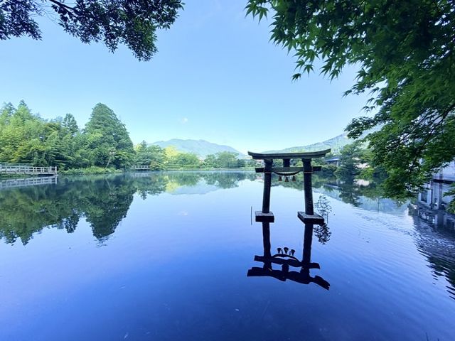 有名旅館での仲居のお仕事です。ヒューマニックスタッフも多数在籍中！