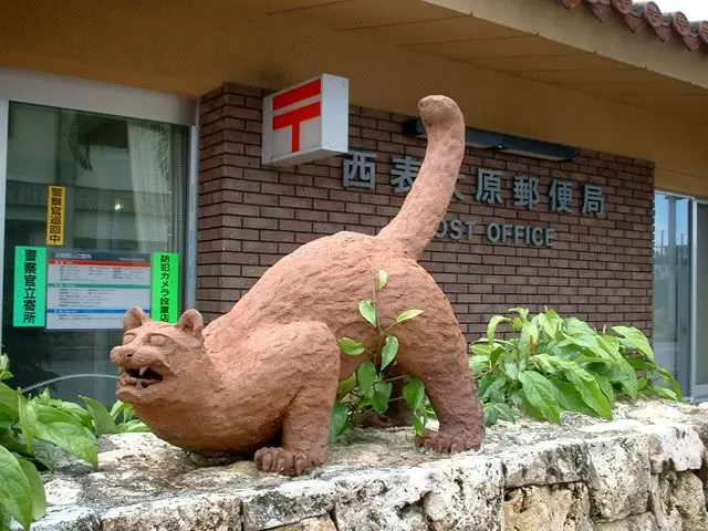 イリオモテヤマネコが住む島です！
西表島にのみ生息する絶滅危惧種です。会えたらラッキー♪