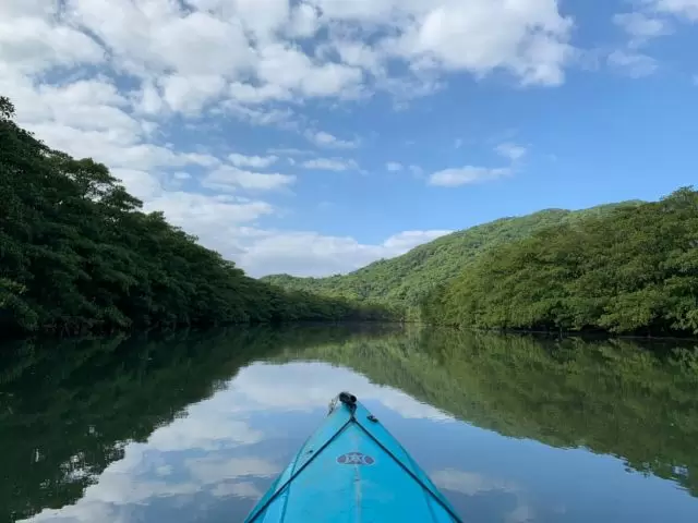 世界自然遺産を全身で感じることができます！
カヌーで大自然を満喫♪
