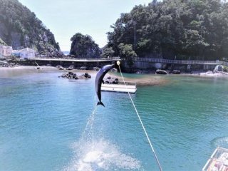 "白い砂"と"エメラルドグリーン"の海は最高！！サーファーや海水浴客で賑わう観光地♪