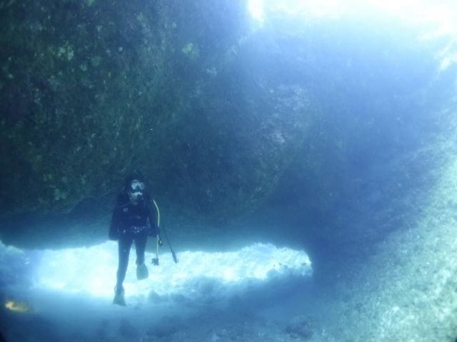 沖縄といえば・・・ダイビングでしょ！！！