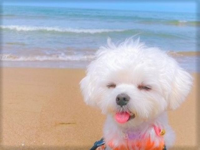 海のすぐ近くのホテルで、散歩もとても気持ち良いです♪