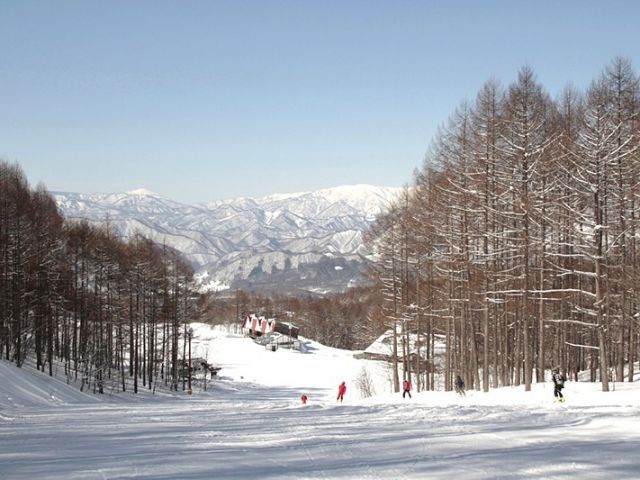 お休みの日はパウダースノーを満喫