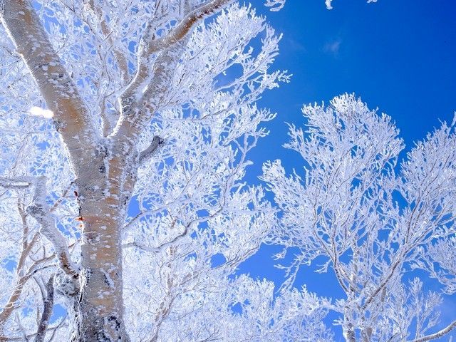 寒い！けど楽しい