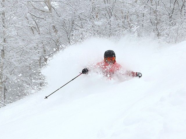 本物のパウダースノーを楽しめるって最高