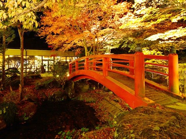 癒しの庭園です