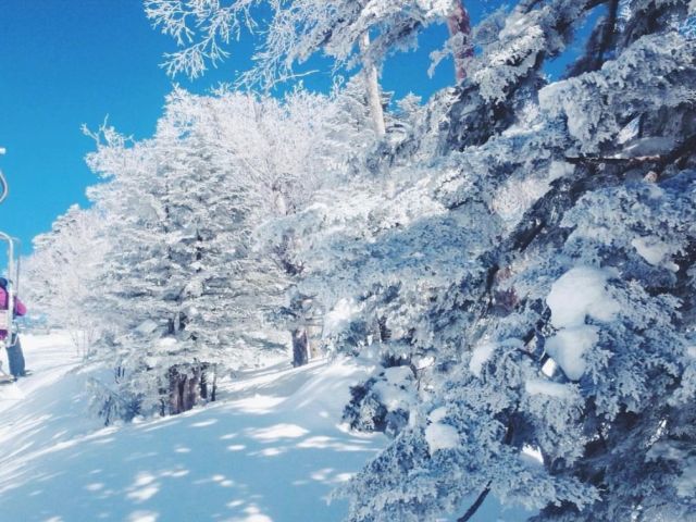 万座温泉スキー場のリフト券も無料で使用できるので
休日にスキーやスノーボードを楽しめます