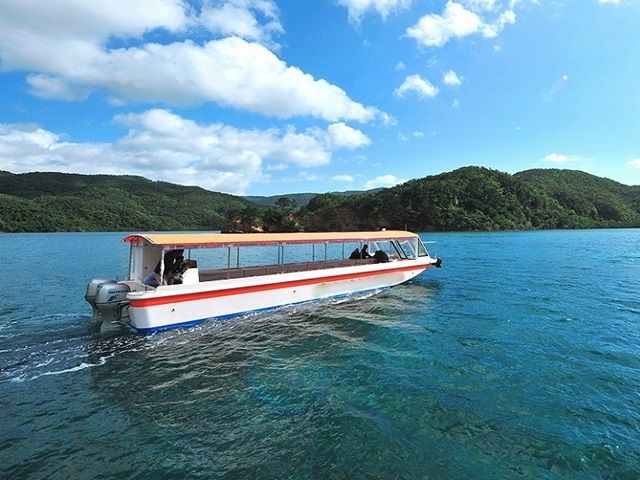 西表島までは、石垣島からビュンっと船で40分♪豊かな自然を満喫しよう！
