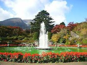 ★★★強羅公園★★★