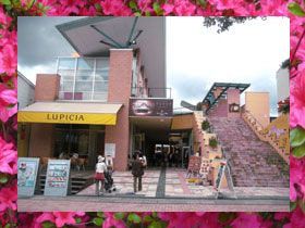 隠れスポット探しもおすすめ！！