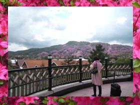 リゾバを充実できるかは自分次第！！