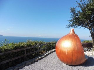 目前に海が広がる離島の求人が出ました☆オシャレな建物でのホール業務です！