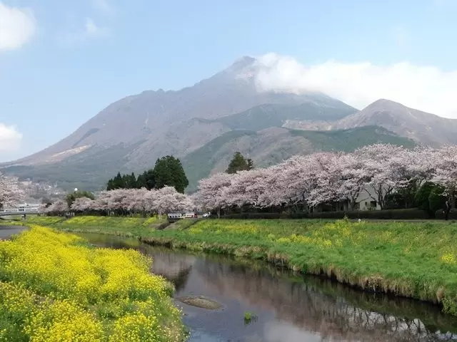担当オススメ！九州で今一番人気の温泉地(＾＾)
