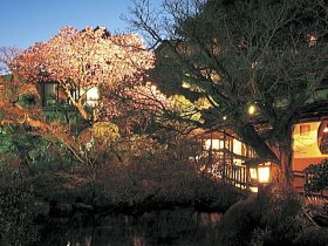 旅館から見える庭園はきれいですよ♪