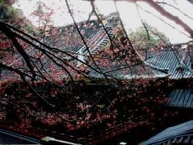 テーマパークから世界遺産まで
日光の魅力は見所が多い事☆☆☆☆☆